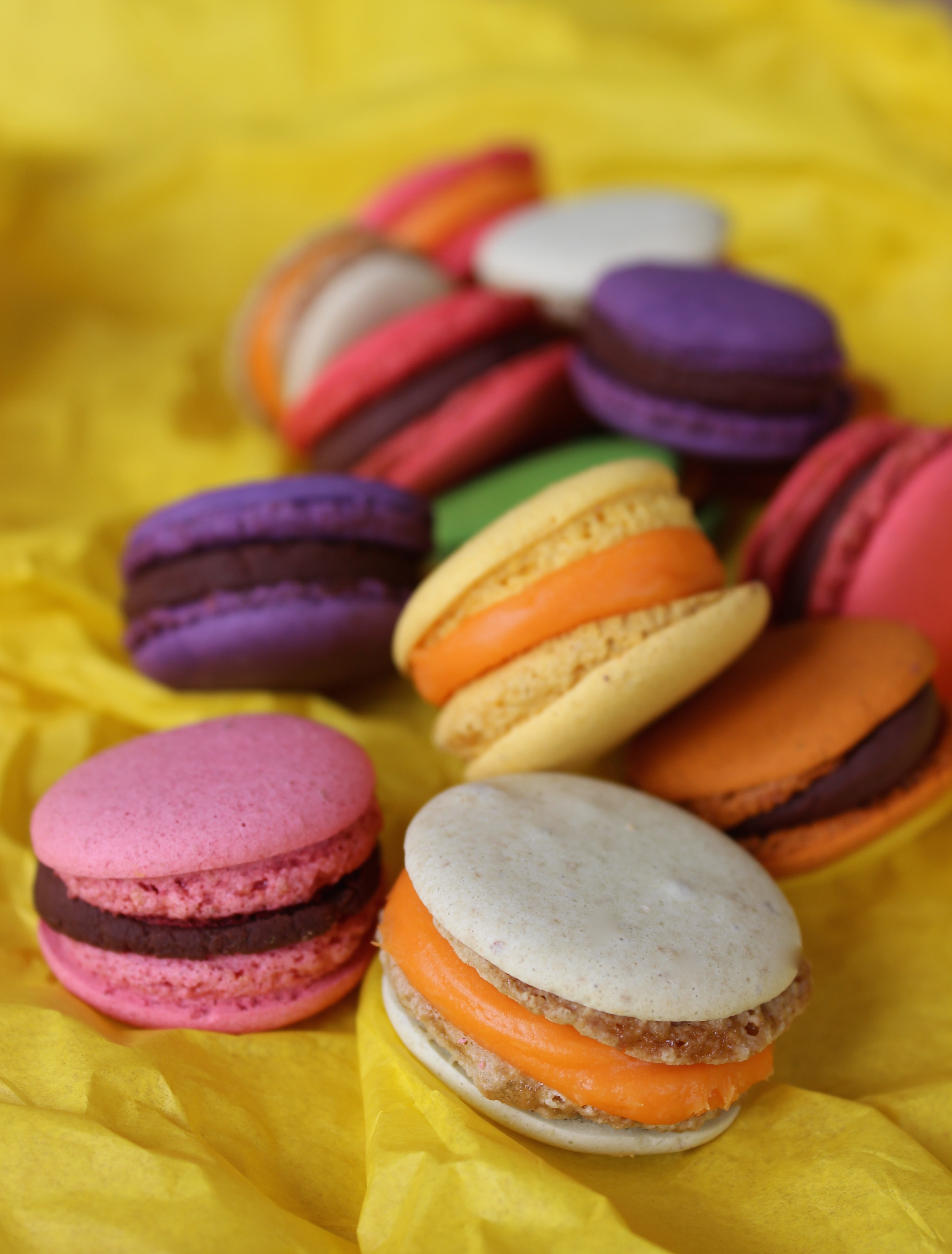 IMG_macarons2.jpg