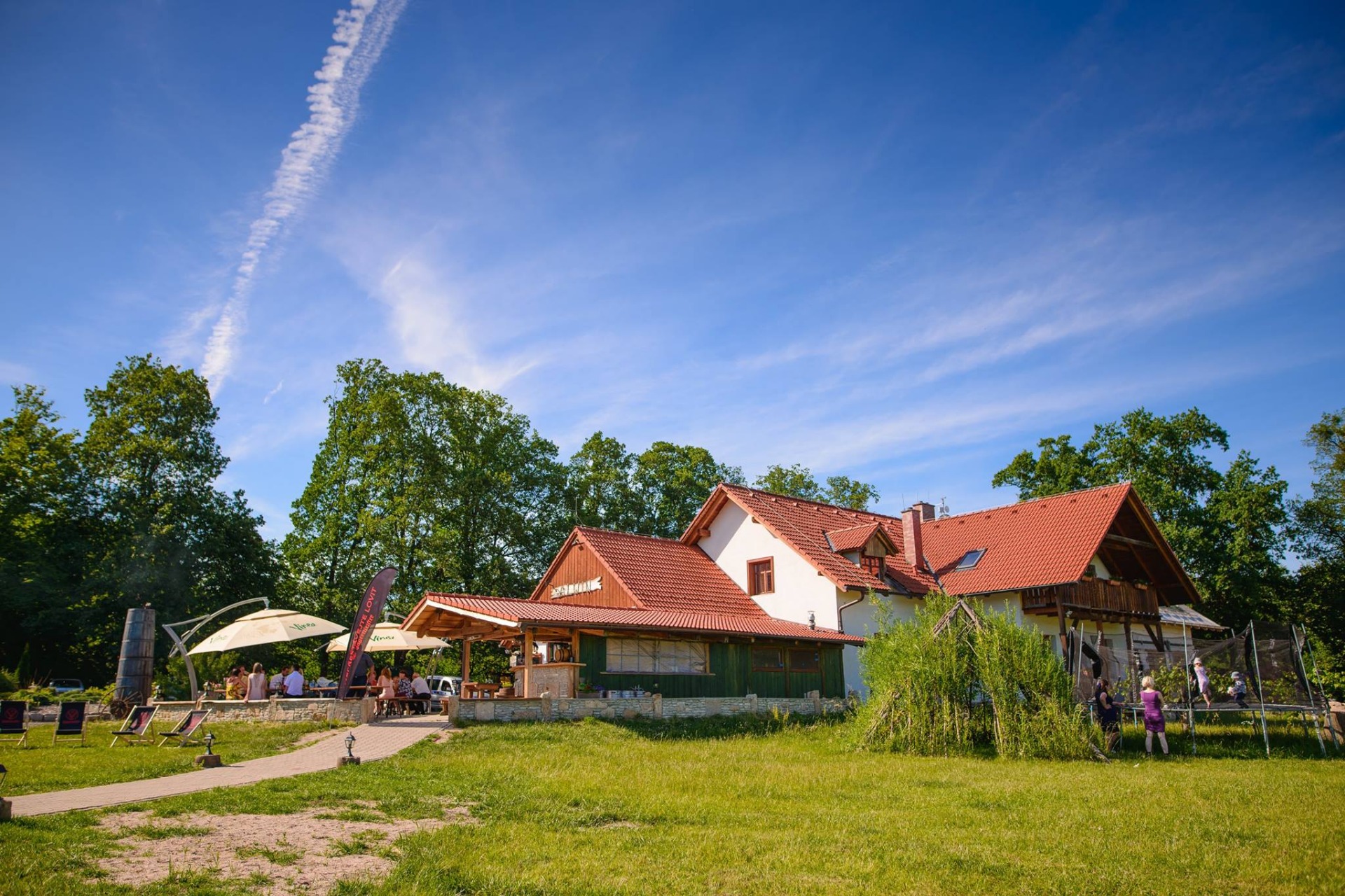 alwin-3-3jpg.jpg