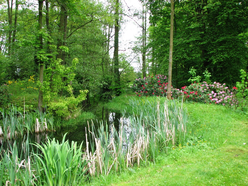 prostory-zakupy-09-park-s-jezirkemjpg.jpg