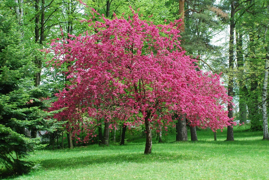 misto-na-obrad-frydlant-08-park-2jpg.jpg