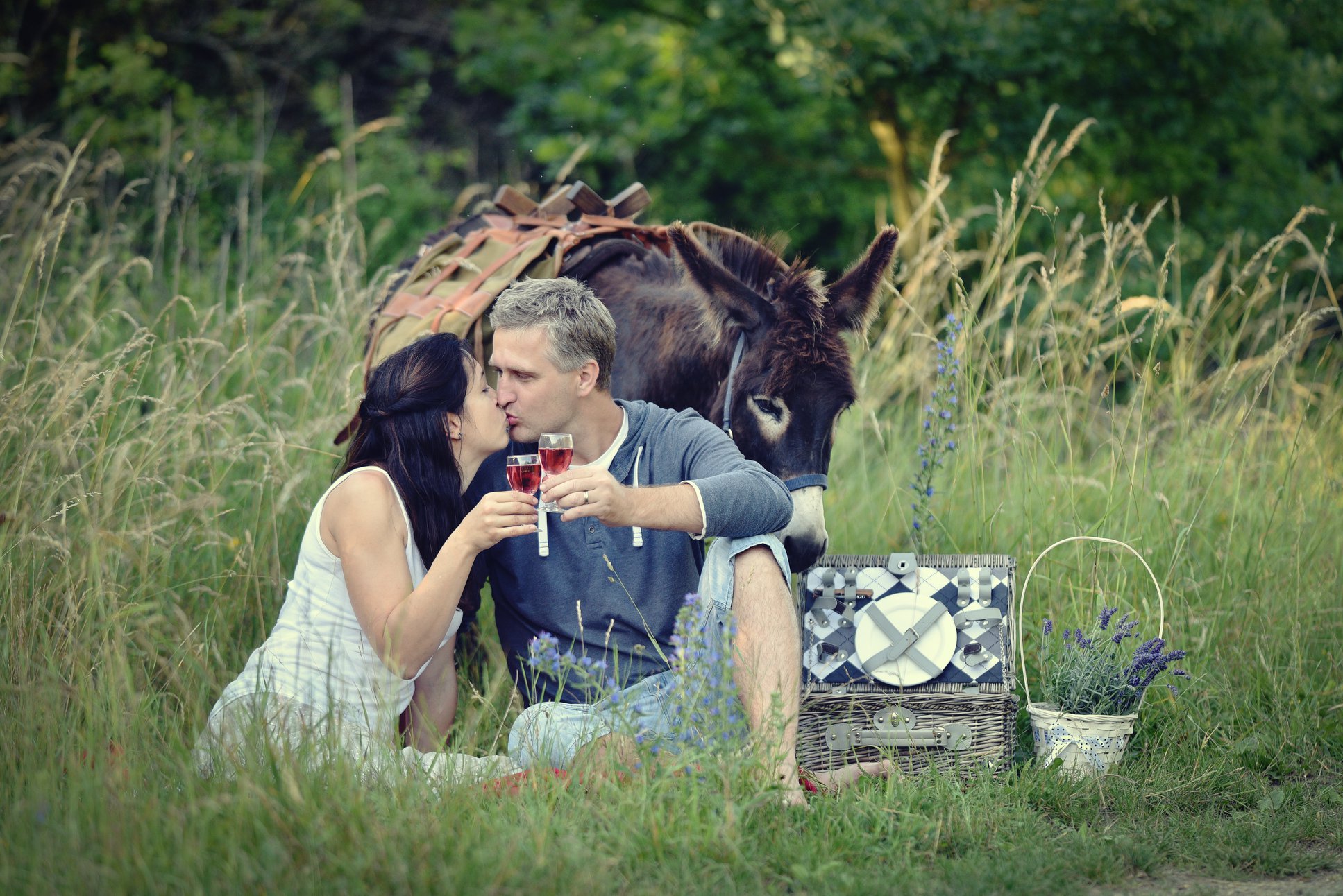 relaxace-a-welness-stredocesky-kraj-osli-stezka-09-piknik-s-oslikemjpg.jpg
