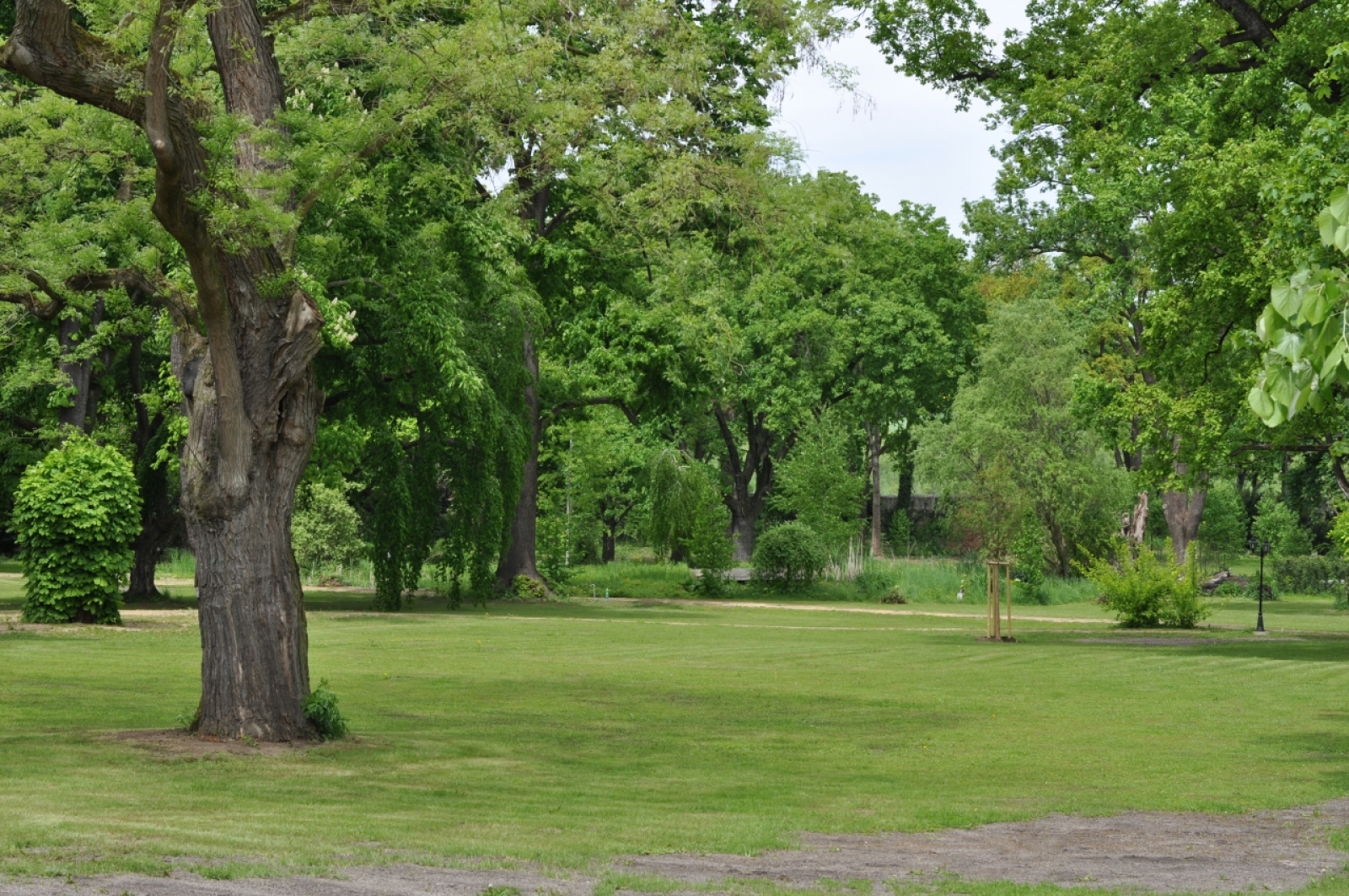 misto-na-svatbu-stredocesky-kraj-zamek-liten-15-park-2jpg.jpg